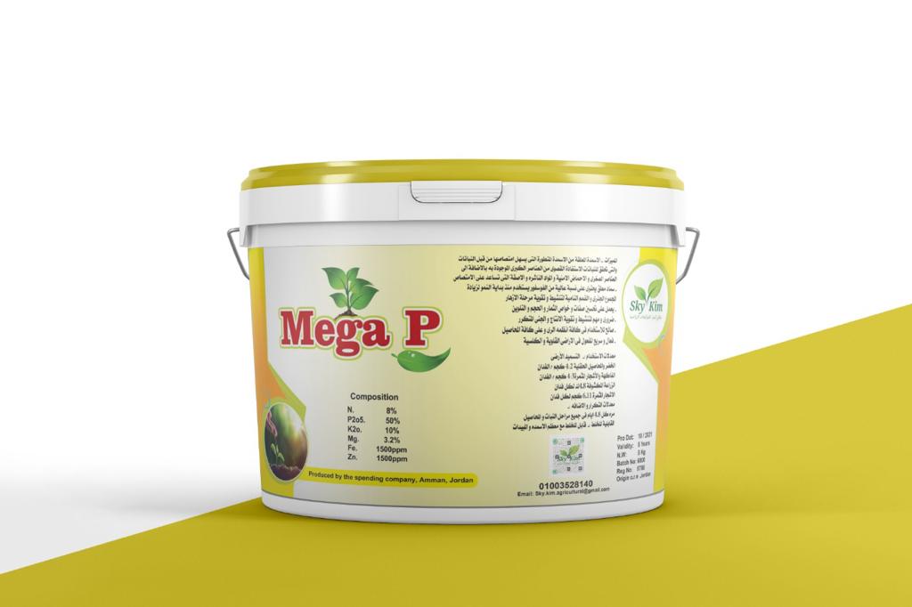ميجا بي
